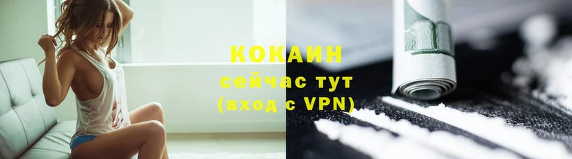 Cocaine FishScale  цены наркотик  Орлов 